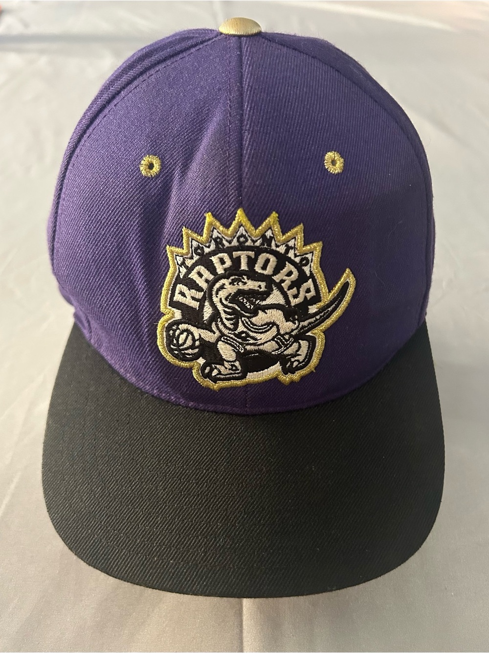 Mitchell & Ness Toronto Raptors Hardwood Classics Snapback Purple Vintage NBA